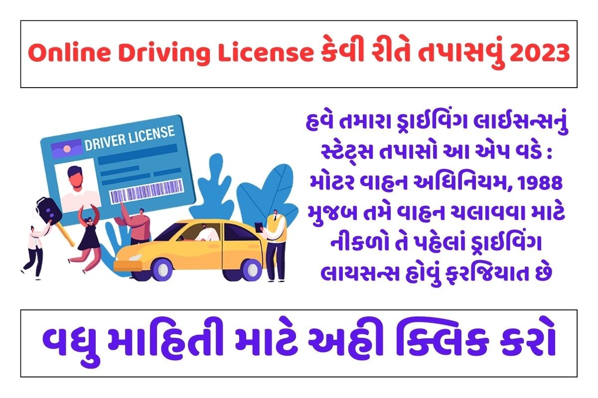 Online Driving License